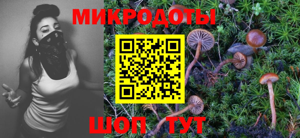 Галлюциногенные грибы GOLDEN TEACHER Приморско-Ахтарск