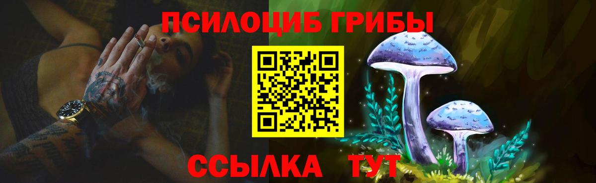 Галлюциногенные грибы Cubensis  Вход с VPN  Приморско-Ахтарск 